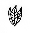 Spinat