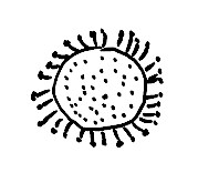 Schnupfenvirus
