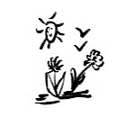 Die kleinen Dinge... Sonne, Blumen, Vögel
